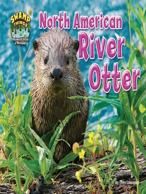cover image of North American River Otter